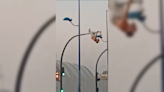 Un hombre se sube a un semáforo semidesnudo y golpea una cámara de vigilancia