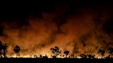 El número de incendios en el Pantanal brasileño entre enero y julio alcanza cifra récord