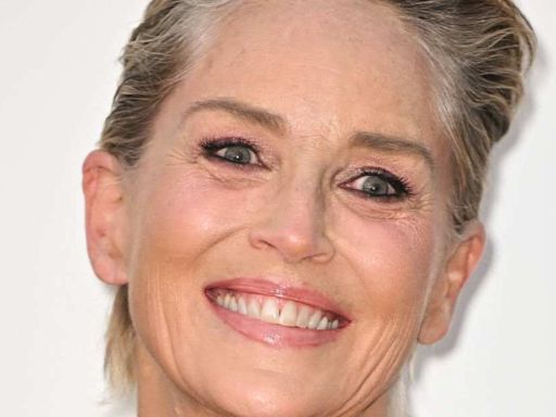 Sharon Stone Leaves Fans Concerned With Photo of Black Eye