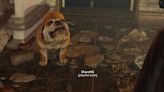 How to adopt Churchill the dog in Fallout: London