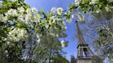 The living world above our heads: how city trees help shape biodiversity
