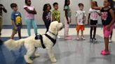 Fuzz therapy: Milo helps local kids get through rough days