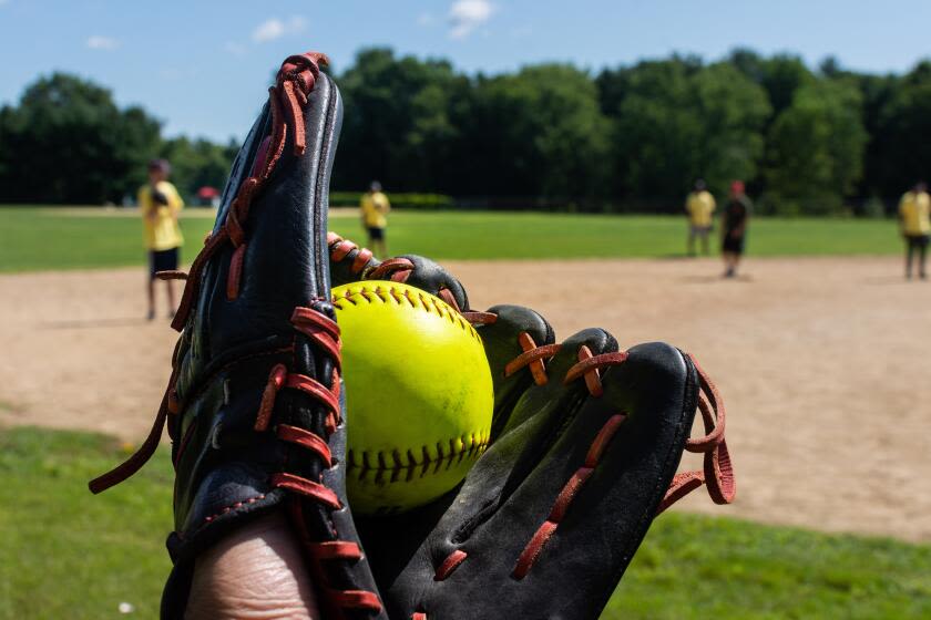 Friday's high school baseball and softball playoff scores