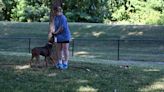 Community raising money for Rainbow Bridge at Furfield Park in Fairfield