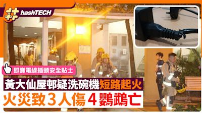 洗碗機短路起火！黃大仙屋邨疑3人傷4鸚鵡亡｜電線拖板安全貼士｜數碼生活