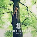 Under the Radar Vol. 2