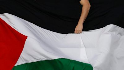 Enorme bandera de Palestina fue desplegada en partido de Libertadores entre Millonarios y Palestino - El Diario NY