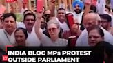 'Opposing BJP's efforts to destroy constitution': INDIA bloc MPs stage protests outside Parliament