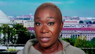 Joy Reid to Nicolle Wallace: 'Donald Trump wants to never let black and brown folk up off the mat'