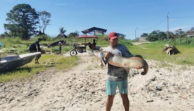 Piura: Promueven cadena de valor del paiche ante creciente demanda del recurso