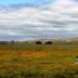 San Pablo Bay National Wildlife Refuge