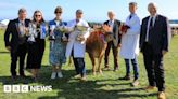 Southern Agricultural Show attracts thousands of visitors