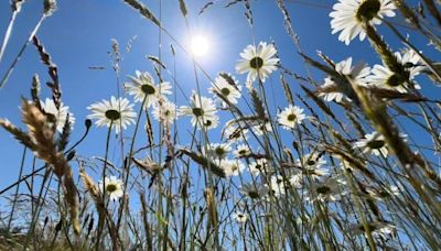 Forecast points towards potentially cooler summer season in PNW