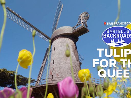 San Francisco's Dutch windmill helped turn dunes into tulip gardens | Bartell's Backroads