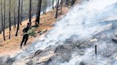 Forest fires vs shrubs: Archaic tools, no training exacerbate Uttarakhand crisis