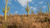 3 sue National Park Service for refusing to accept cash for park entrance fees