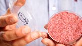 Florida bans lab-grown meat, adding to similar efforts in three other states