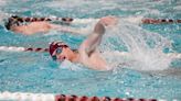 See which central Ohio high school swimmers, divers qualified for OHSAA state meet