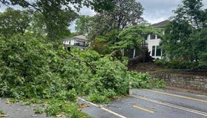 Strong storms down large trees, snap power poles near Atlanta’s Grant Park