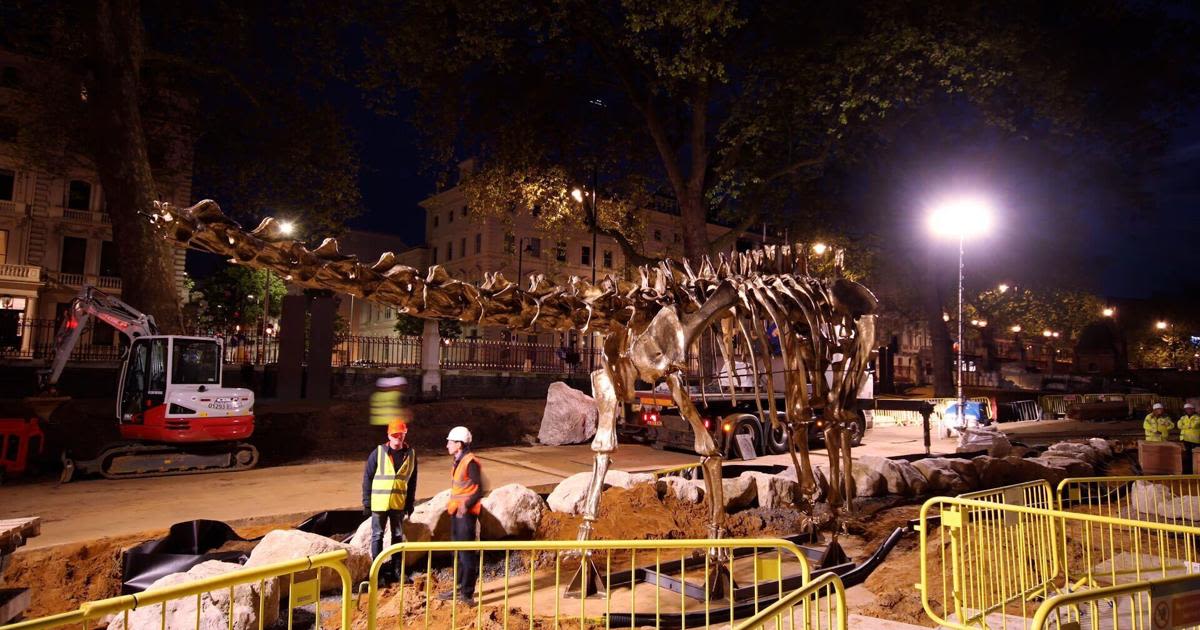 RAW VIDEO: Fern The Diplodocus Crowns Natural History Museum's New Gardens 2/2