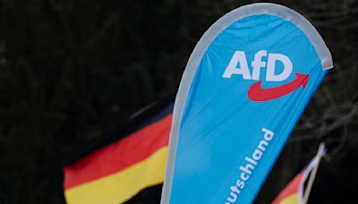 AfD-Kommunalwahlkandidat in Mannheim mit Messer attackiert