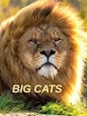 Big Cats