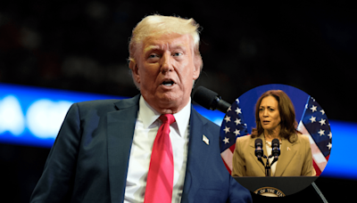 Donald Trump lanzó duro ataque a Kamala Harris, potencial candidata a la Presidencia de EE.UU. - El Diario NY