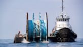 Bay County's artificial reef program reviving coastal ecosystem, boosting economy