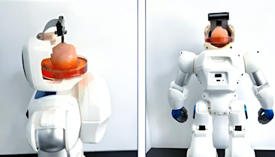 Robot with human brain tissue learns how to use arms