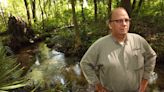 'Huge win for Florida's wetlands': Green groups cheer order undoing Florida's permit control