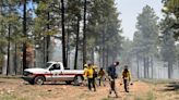 Cutting trees, setting fires could help protect Flagstaff from new disaster