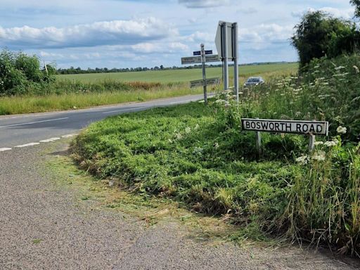 Villagers take grass verge mowing into own hands