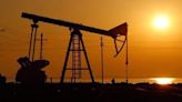 Crude oil imports rise to 4-year high in March