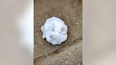 Dirty diaper dumper in The Heights: Neighbors want to know who is responsible