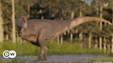 Descoberto dinossauro com braços menores que do tiranossauro – DW – 23/05/2024