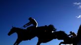 Saturday horse racing tips: City Of Troy to cruise to victory in the Coral Eclipse