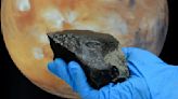 Mars meteorite that crashed to Earth contains 'huge diversity' of organic compounds