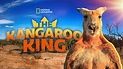 Watch The Kangaroo King | Full movie | Disney+