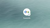 Google Password Manager rolls out Material You redesign on Android [U]