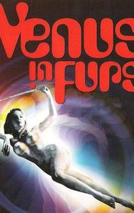 Venus in Furs