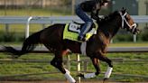 KENTUCKY DERBY: After top betting choices Fierceness and Sierra Leone -- field is wide open