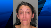 Warwick woman arrested after domestic incident, dog attack | ABC6