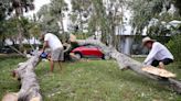 Treasure Coast had power outages, downed trees, street lights; now the cleanup begins