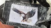 Boaters find over $1 million of cocaine — packaged with bald eagle designs — floating at sea off Florida Keys