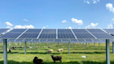 Seattle company proposes new solar farm near Tri-Cities. It could be the county’s 6th