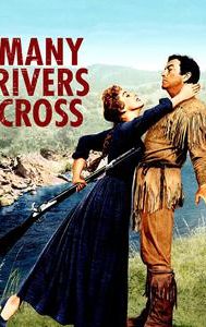 Many Rivers to Cross (film)