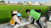 登革熱病媒蚊 彰化芬園4級警戒