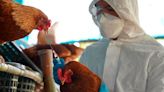 No existe riesgo para la población ante detección de primer caso humano de influenza aviar A (H5N2): Secretaría de Salud