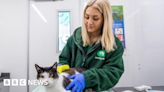 Woodgreen unable to give pets to owners due to microchip issues