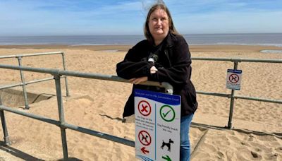 Owner wants beach ban on dogs lifted